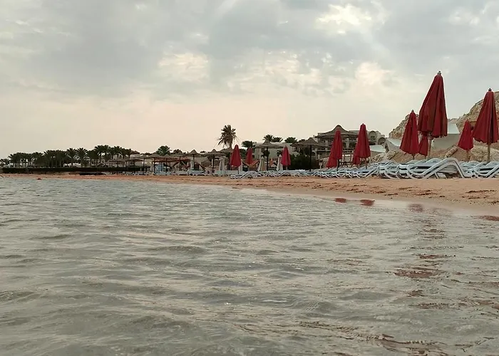Porto * Şarm El-Şeyh